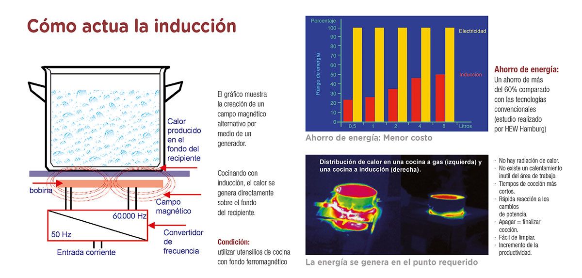 induccion