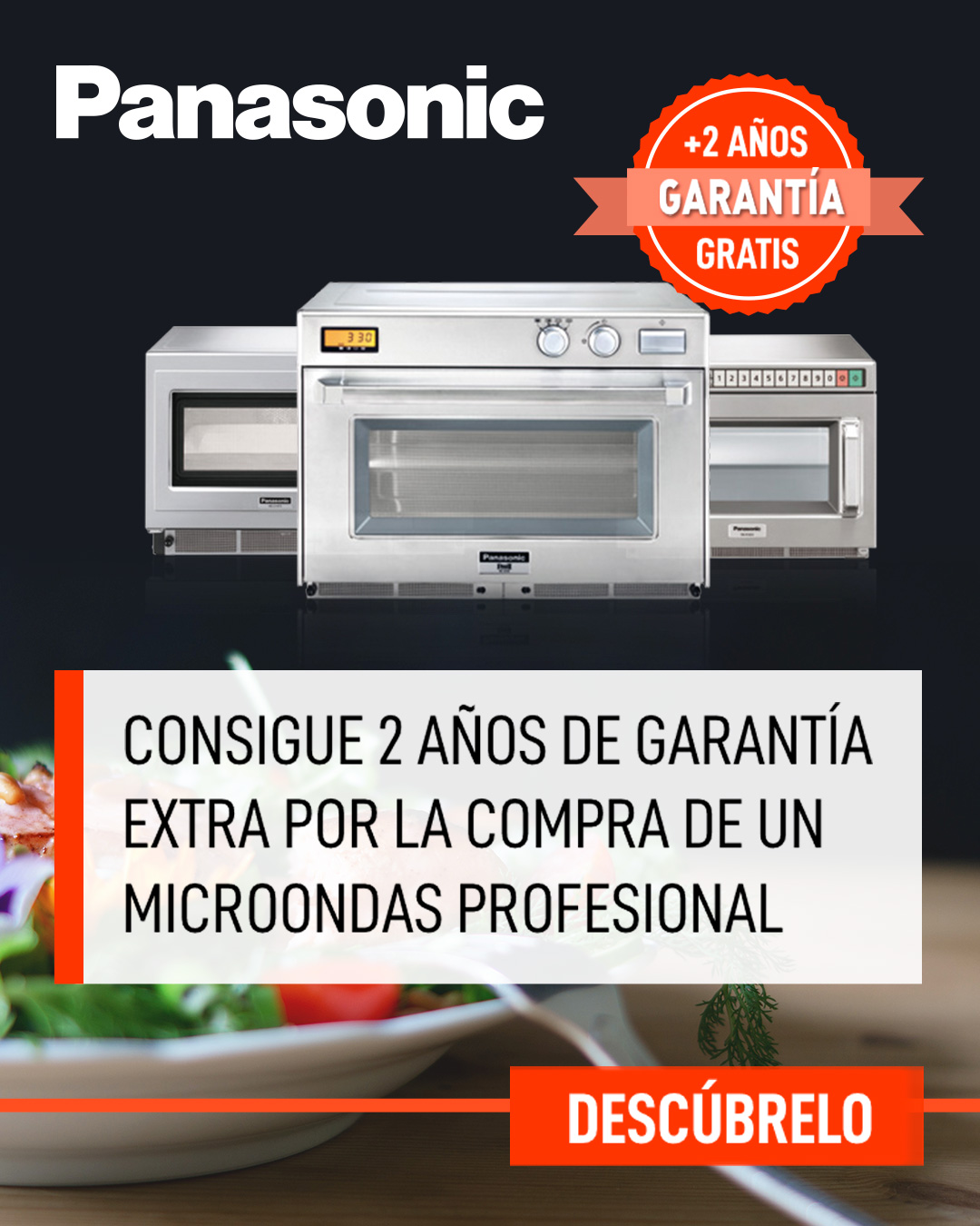 Panasonic Romagsa