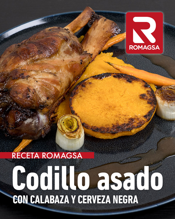 RONER COCINA BAJA TEMPERATURA PROFESIONAL ROMAG CHEF ROMAGSA